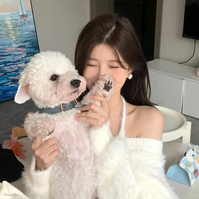王朝的陷落